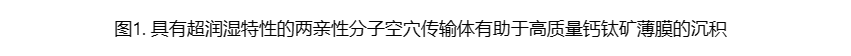 基于埋底界面缺陷钝化实现高效反式钙钛矿太阳能电池登上Science-华科陈炜-刘宗豪老师课题组