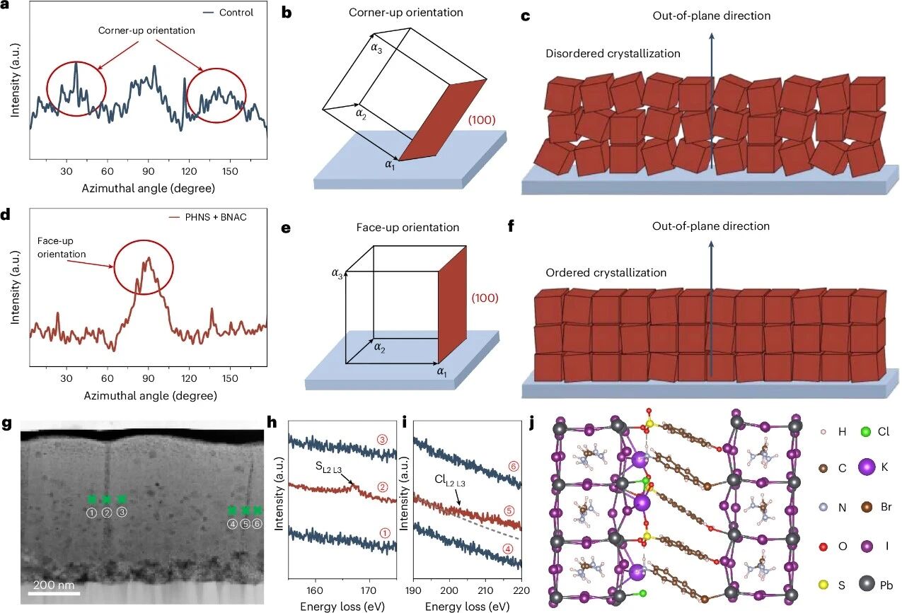 团队最新成果:《Nature Energy》 Aromatic interaction-driven out-of-plane orientation for inverted perovskite solar cells with improved efficiency -华科陈炜-刘宗豪老师课题组